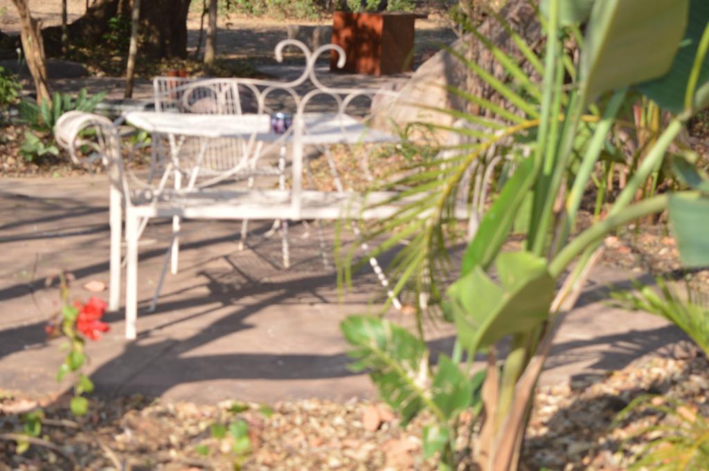 Punda Maria Copacopa Lodge And Conference Centre מראה חיצוני תמונה